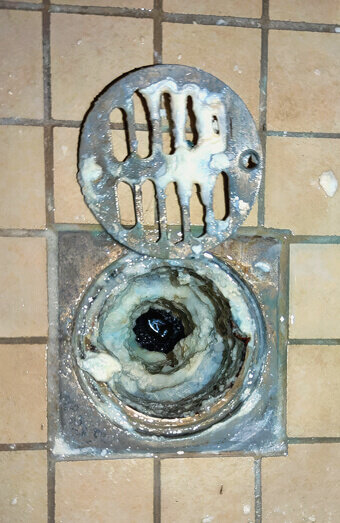 https://blockeddrainsgnangara.com.au/uploads/2025/07/blocked-shower-drains-86331.jpg