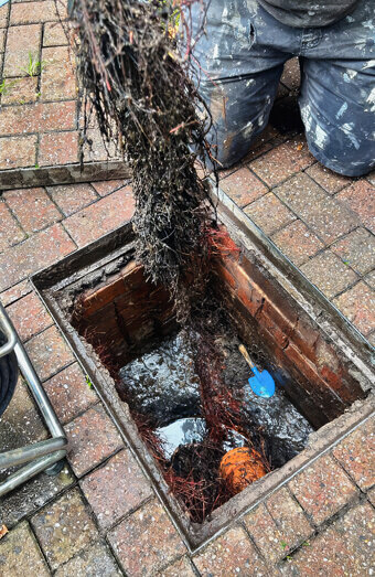 https://blockeddrainsgnangara.com.au/uploads/2025/07/hero-blocked-sewers-68349.jpg